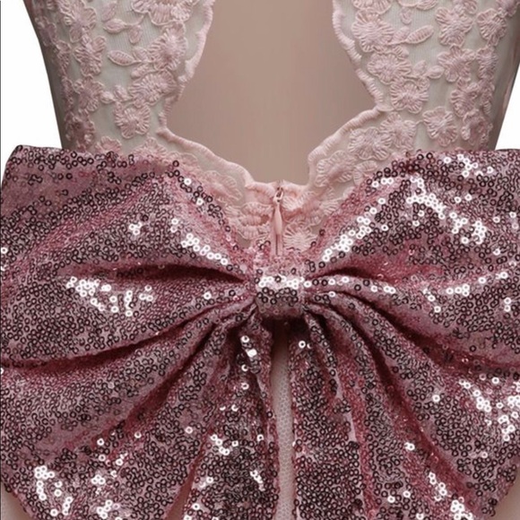 🎀New! Blush Pink Tutu Sparkly Bow Lace Dress - Picture 8 of 8
